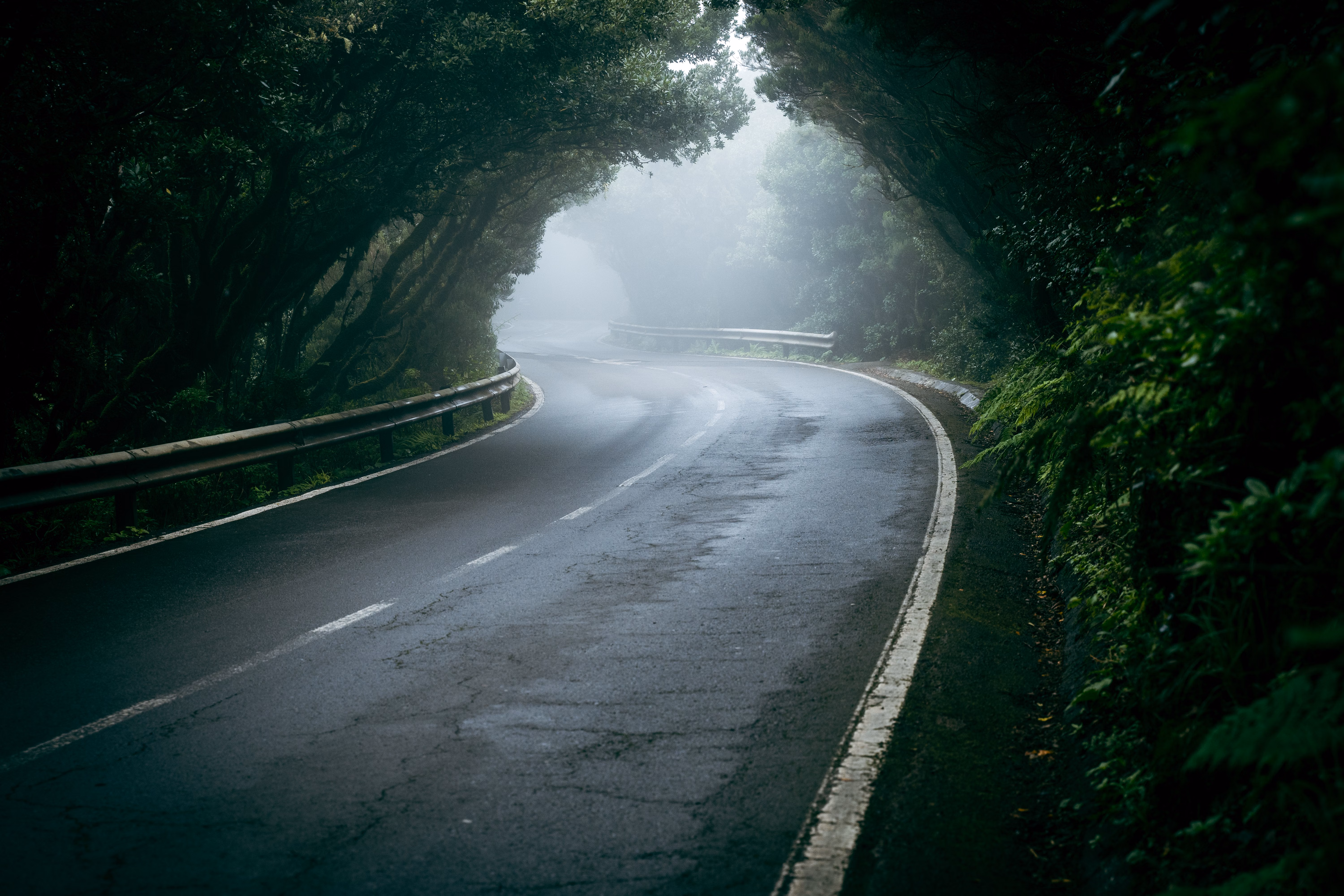 A winding mountain road enveloped in thick green forest and fog