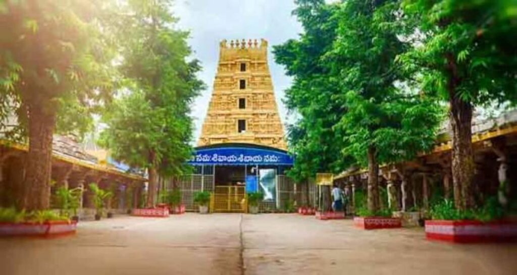 Hyderabad to Srisailam 2-Day Tour Package (2026 Itinerary & Cost) cover image