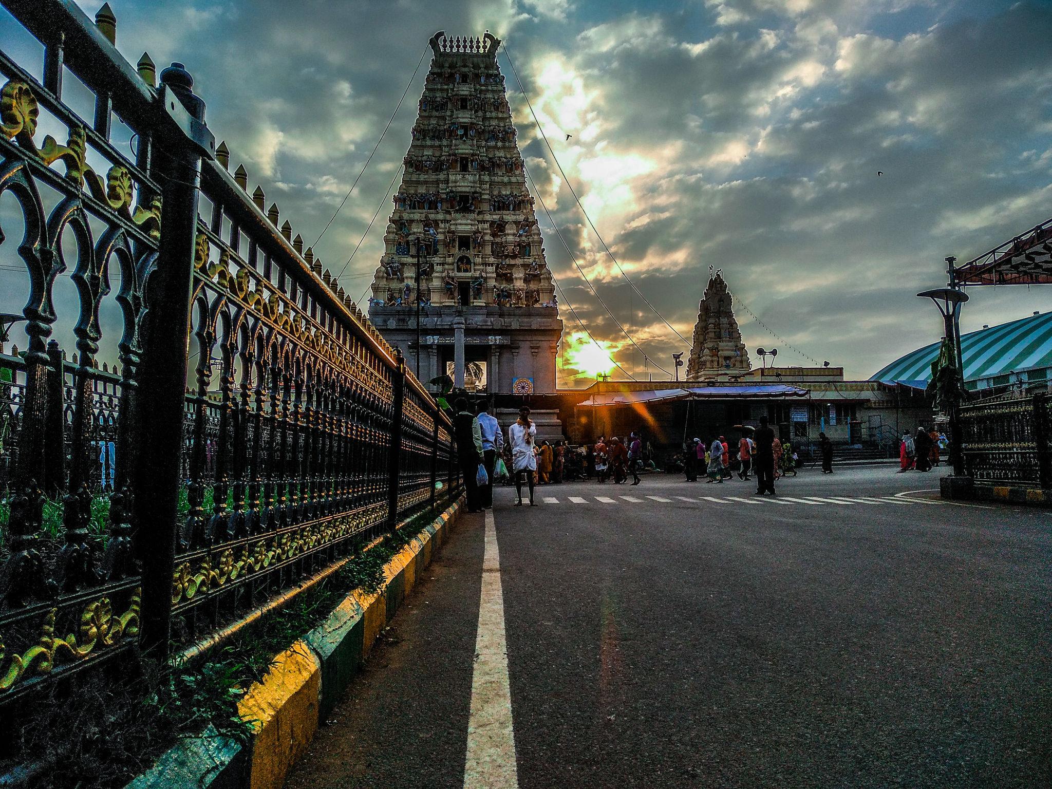 Best Time to Visit Tirupati (Complete 2026 Seasonal Guide) cover image